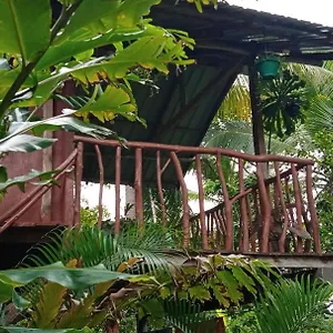 Sigiri Panaromic Tree House , Sigirija Sri Lanka